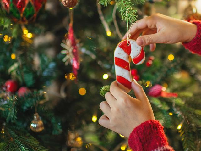 Yılbaşı ağacını s&uuml;slemenin maliyeti ne kadar? 2 bin 200 TL'den başlıyor