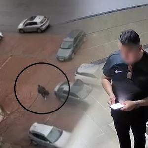 Son Dakika Haber Görseli