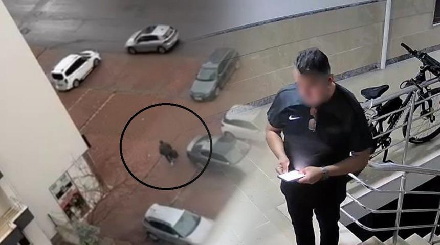 Eşini öldürmeye gidip başka bir kadını katletmişti! Tehdit ve darptan aylarca ceza almış