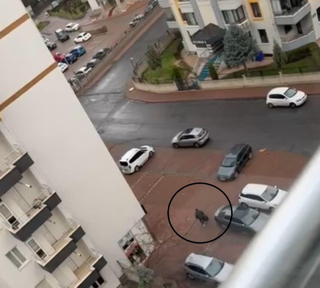 Eşini öldürmeye gidip başka bir kadını katletmişti! Tehdit ve darptan aylarca ceza almış 3