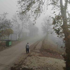 Son Dakika Haber Görseli