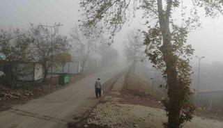 Kahramanmaraş’ta sis etkili oldu