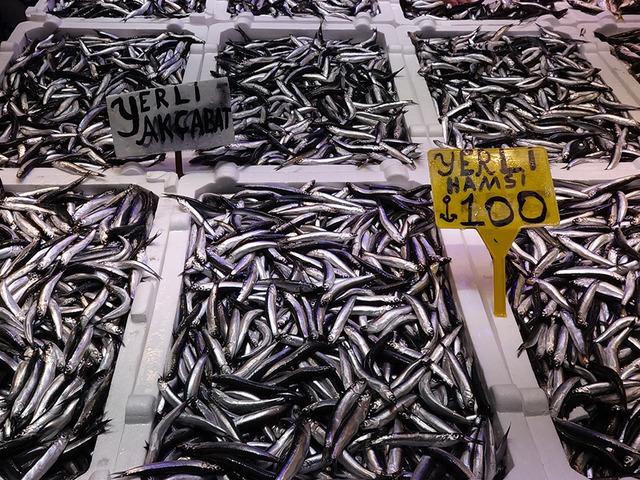 Balık tezgahlarında hamsi bolluğu!