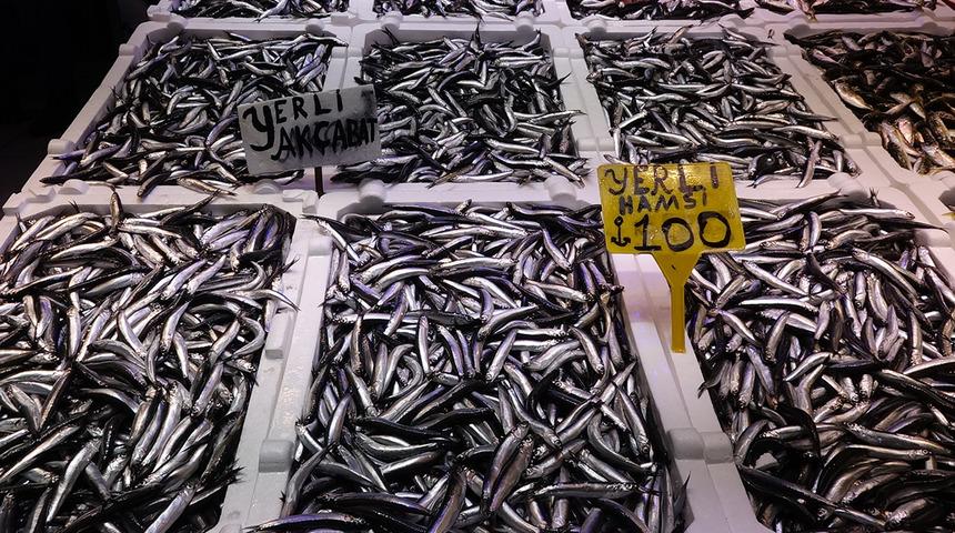 Balık tezgahlarında hamsi bolluğu!