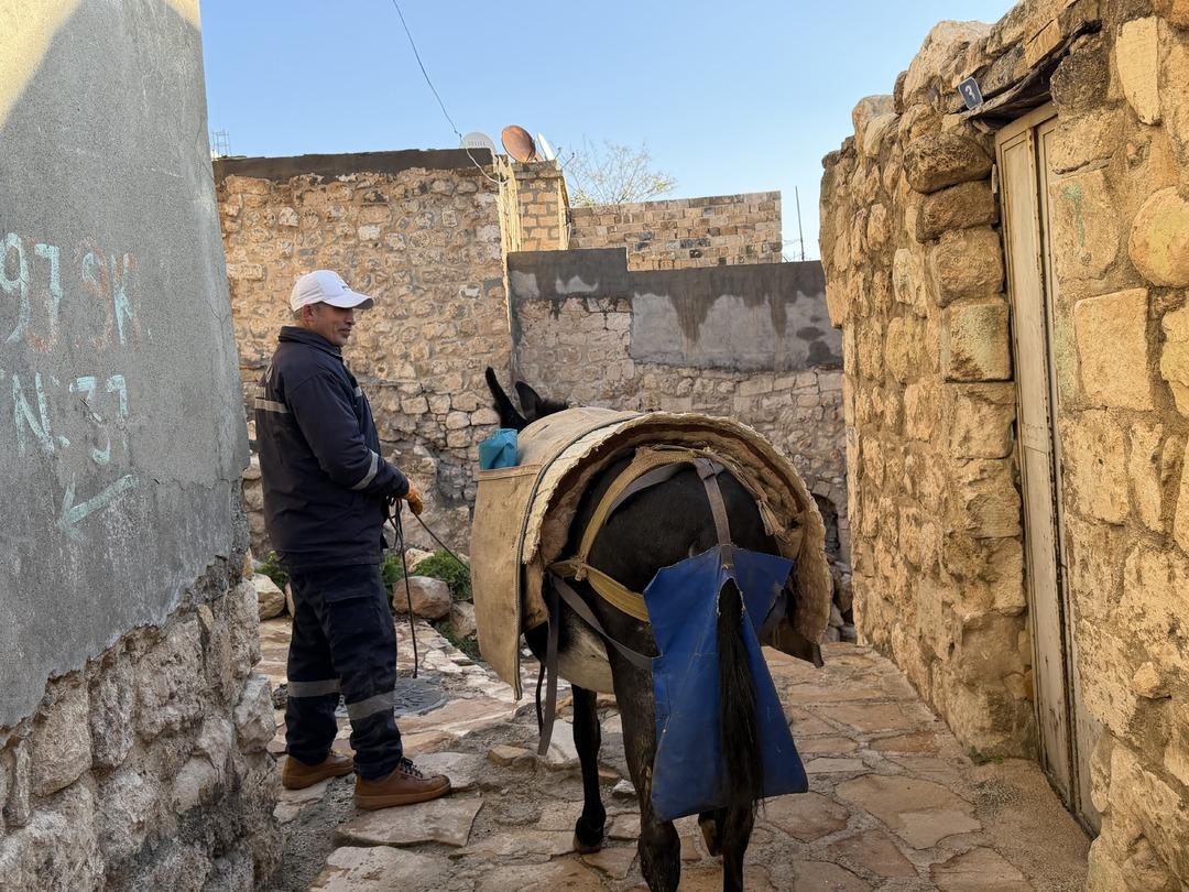 Mardin de yeni dönem! Belediyenin kadrolu eşekleri emekli oluyor 1