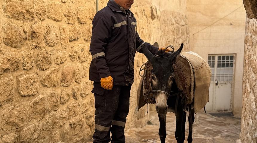 Mardin'de yeni dönem! Belediyenin kadrolu eşekleri emekli oluyor