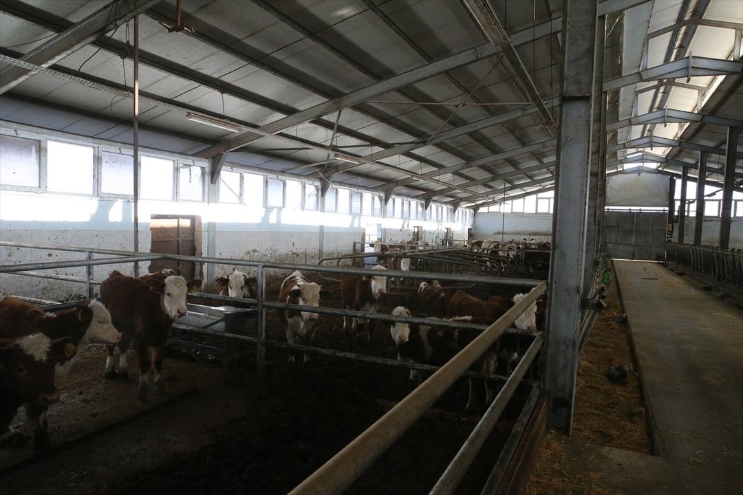 1 milyon 350 bin TL ile tesis kurdu! Sayıyı 4 ten 80 e çıkardı 1