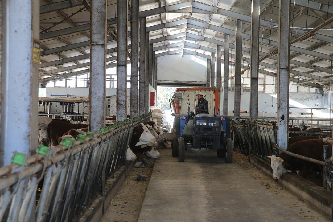 1 milyon 350 bin TL ile tesis kurdu! Sayıyı 4 ten 80 e çıkardı 3