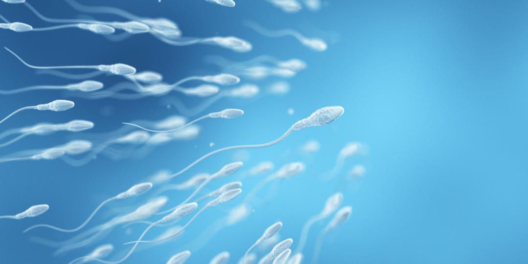17 yıl sperm bağışladı, doğan bebekler kanser oldu! 1