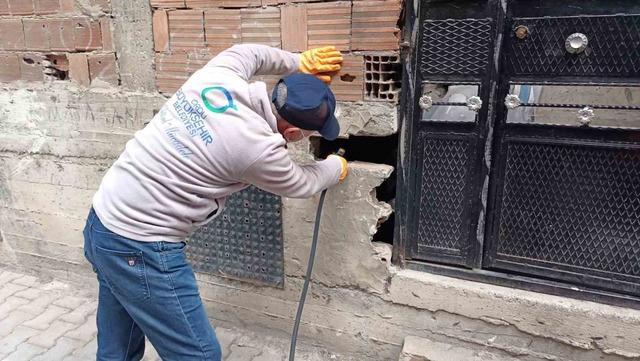 Ordu’da haşerelere karşı kışlak çalışması başlatıldı 1