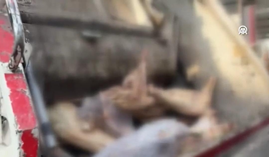 Rastgele durdukları araçtan 2 tona yakın çıktı! Gözlerinize inanamayacaksınız: Mide bulandıran görüntü 3