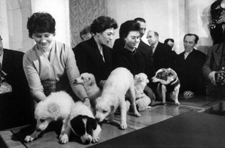 Uzaya gönderilen hayvanlar ve hazin sonları  G4