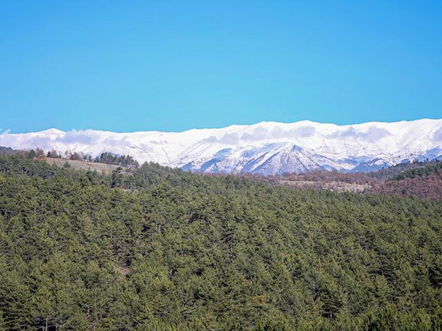 Uludağ eteklerinde oluşturulan bal ormanı arıcıları bekliyor
