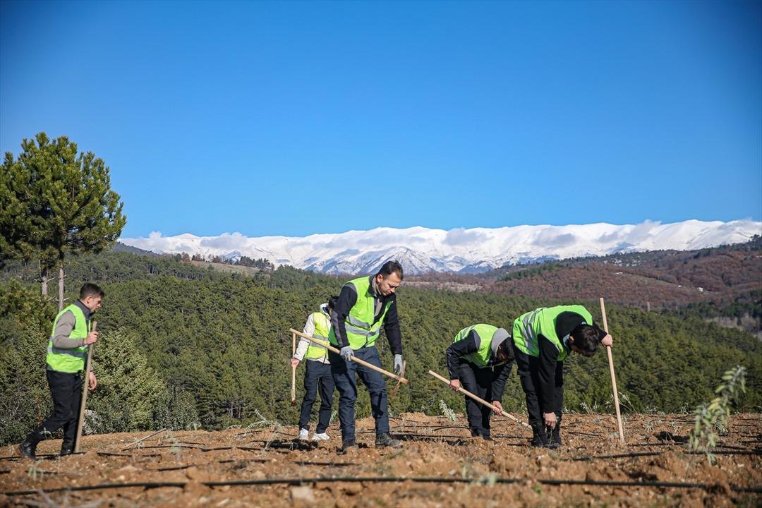 Uludağ eteklerinde oluşturulan bal ormanı arıcıları bekliyor 2