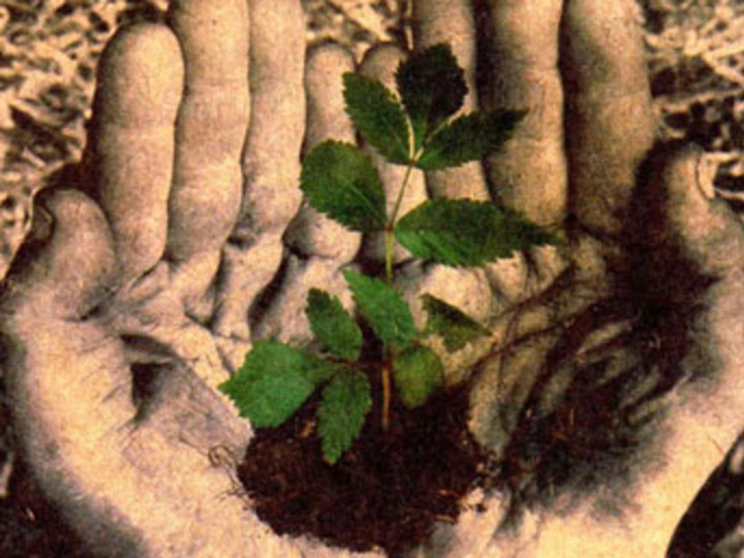 Yatırımcı arayan orijinal projeler