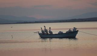 O ilçede ekimi yasaklandı!