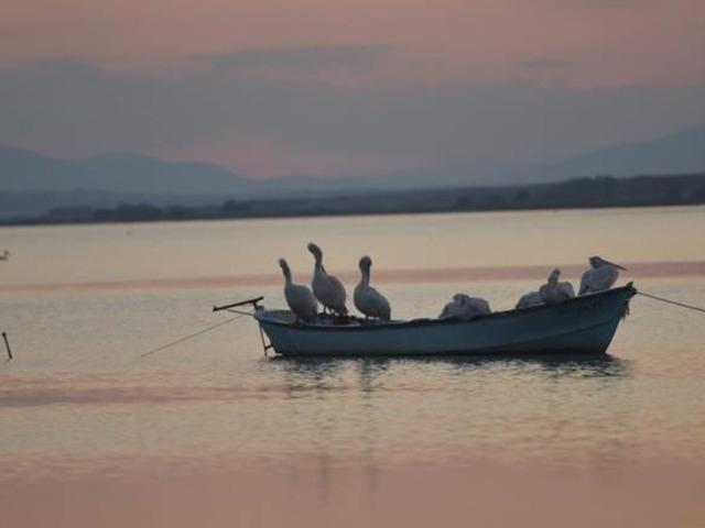 O il&ccedil;ede ekimi yasaklandı!