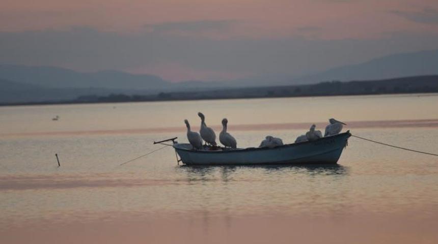 O il&ccedil;ede ekimi yasaklandı!