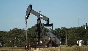 OPEC'in ham petrol &uuml;retimi kasımda g&uuml;nl&uuml;k 1000 varil azaldı