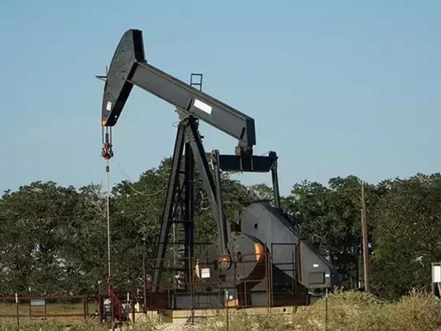 OPEC'in ham petrol &uuml;retimi kasımda g&uuml;nl&uuml;k 1000 varil azaldı