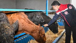 Kırmızı et üretimini artıracak Kırsalda Bereket, Hayvancılığa Destek Projesi meyvelerini vermeye başladı