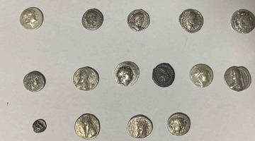 Hatay’da 26 sikke kargo ile göndermek üzereyken ele geçirildi