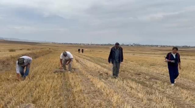 1000 yıllık Merzifon Savaşı’nın sır perdesi: Haçlı ordusunun bozguna uğradığı yer bulundu! 1