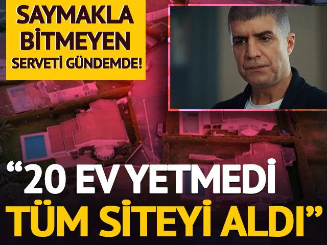 Saymakla bitmeyen serveti g&uuml;ndemde! '20 ev yetmedi, t&uuml;m siteyi aldı'