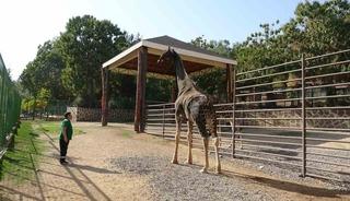 'Müzmin bekar' olarak gündeme gelmişti