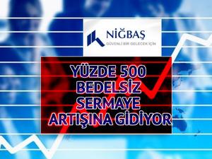 NIBAS onayı aldı! Y&uuml;zde 500 bedelsiz sermaye artışına gidiyor