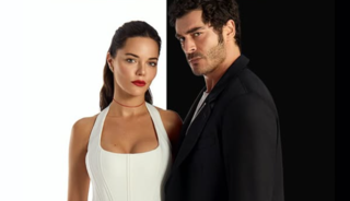 Datça'da 6 dönüm arazi almıştı! Son yatırım açıklaması şaşırttı