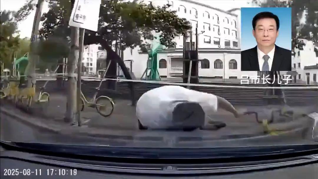 Belediye başkanının oğlu aracıyla bir kişiyi defalarca kez ezdi! Korkunç görüntüler 4