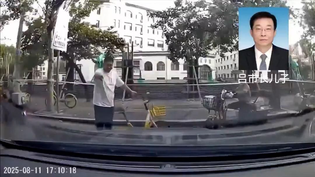 Belediye başkanının oğlu aracıyla bir kişiyi defalarca kez ezdi! Korkunç görüntüler 5