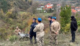 Bartın'da ormanda kaybolan yaşlı kadından acı haber