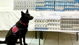 Van'da 8 bin 200 paket gümrük kaçağı sigara ele geçirildi: 2 gözaltı