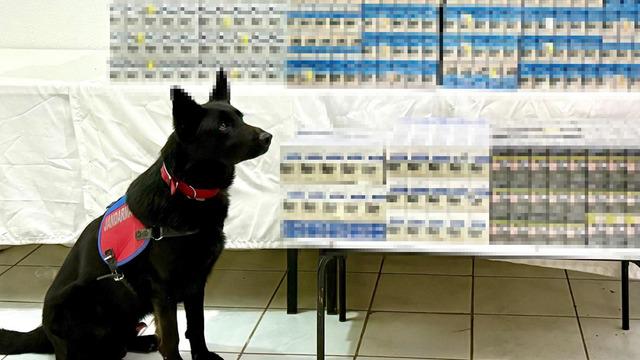 Van'da 8 bin 200 paket gümrük kaçağı sigara ele geçirildi: 2 gözaltı