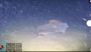 Fatih Terim'in kayınpederi de vardı... Uçağın enkazı mı görüntülendi?