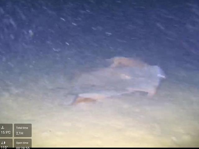 Marmara Denizi'nin dibindeki 50 yıllık sır! Fatih Terim'in kayınpederi de vardı... Uçağın enkazı mı görüntülendi?