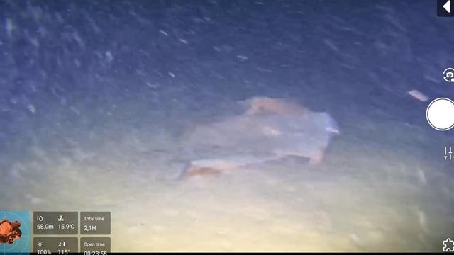 Marmara Denizi'nin dibindeki 50 yıllık sır! Fatih Terim'in kayınpederi de vardı... Uçağın enkazı mı görüntülendi?