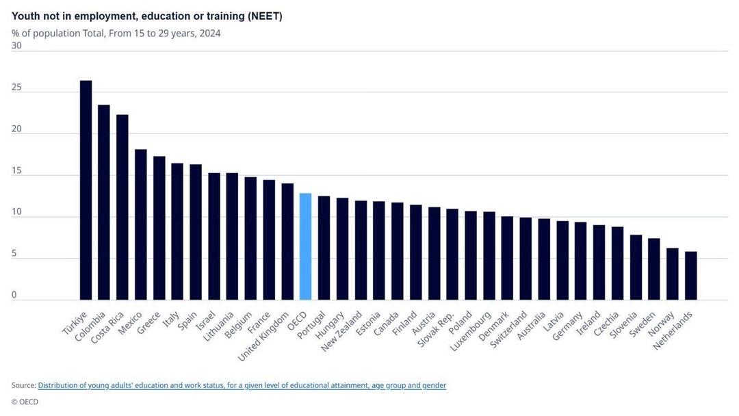 Türkiye de ev genci sorunu büyüyor: Gençlerin yüzde 26,5 i ne çalışıyor ne okuyor 1