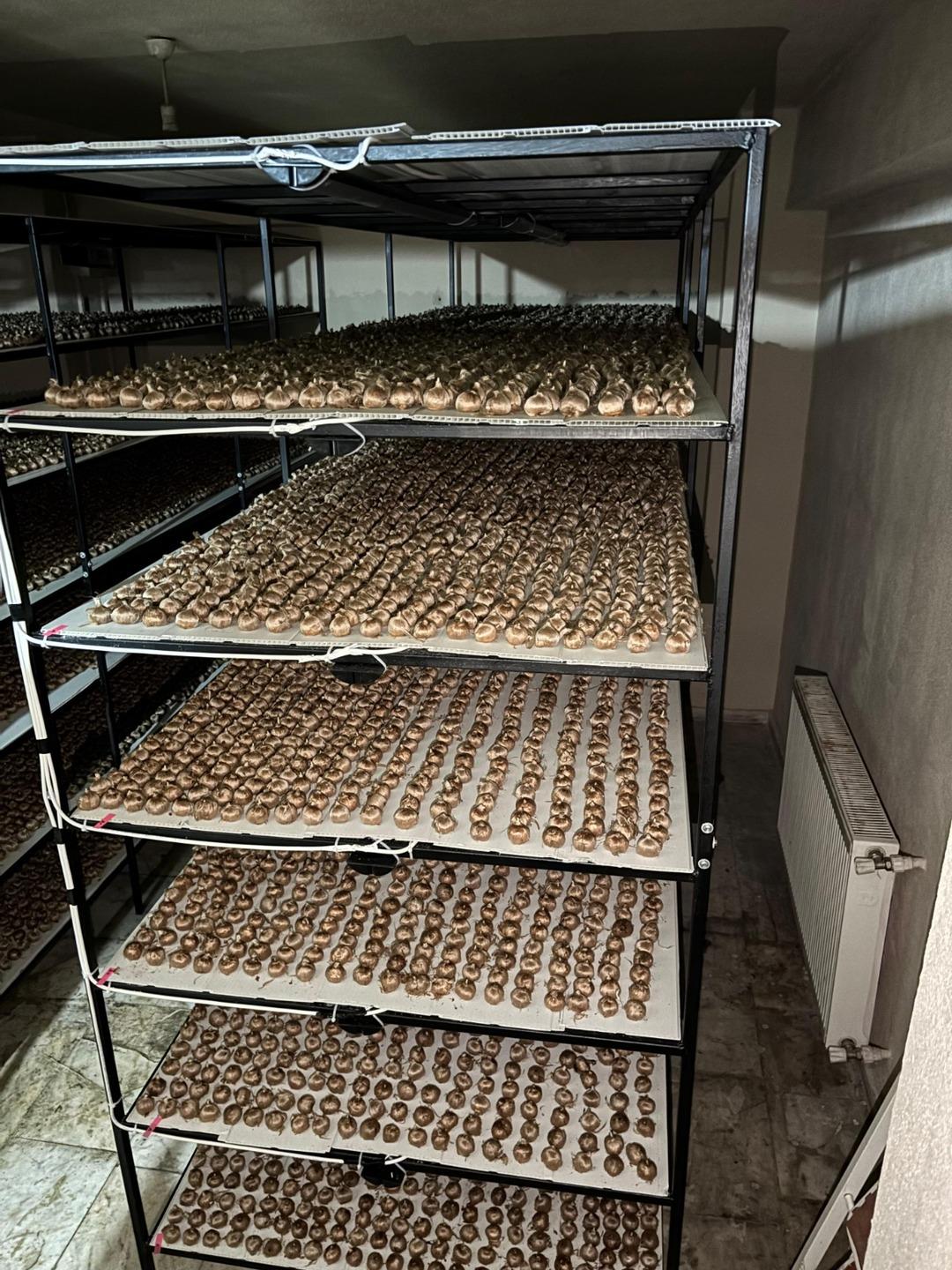 Mesleğinden vazgeçti, üretimine başladı! Gramı 700 liradan satılıyor: Çok faydası var 4