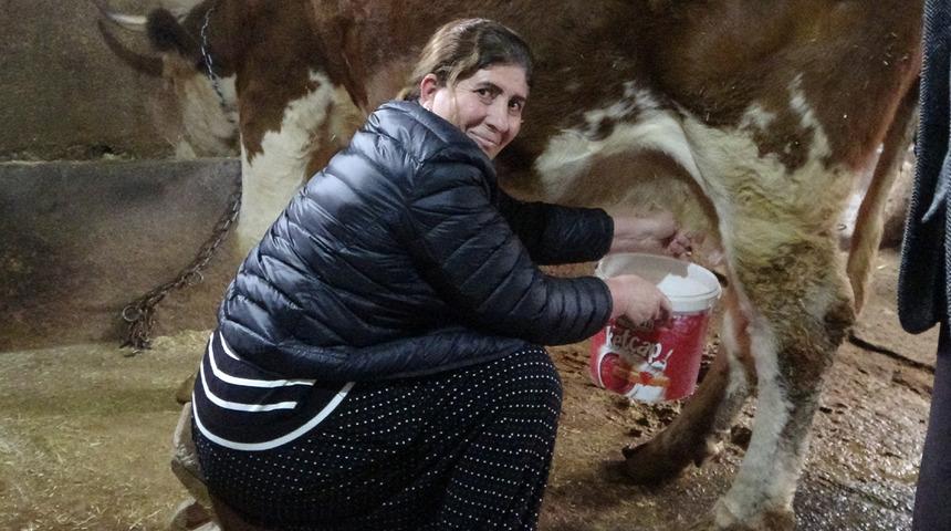 8 erkek adayı geride bırakan kadın muhtar: Hayvancılık da yapıyor!