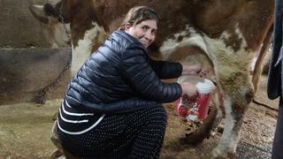 8 erkek adayı geride bırakan kadın muhtar: Hayvancılık da yapıyor!