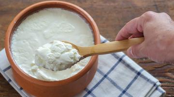 'Taklit ve Tağşiş' listesini açıklandı: 4 yoğurt markasında bitkisel yağ ve nişasta bulundu!