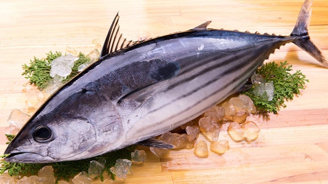 Karadeniz’de "bolluk" paradoksu balıkçıyı zarara soktu 3