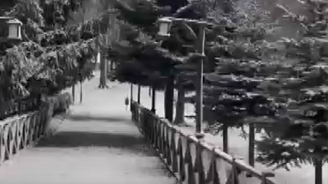 Ordu’nun yüksekleri beyaza büründü