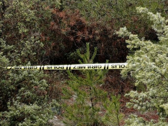 Ormanlık alanda ölü bulundu! 1 kişi gözaltında