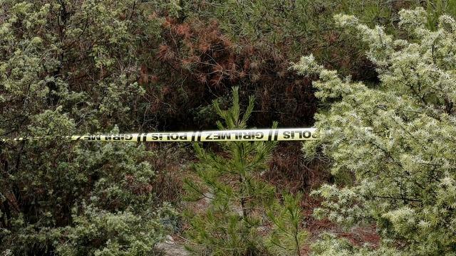 Yer: Karabük! Kendisinden haber alınamayan kişi ormanlık alanda ölü bulundu