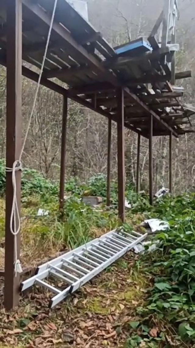 Rize’de ayılara demir profilli tezgah da çare olmadı 2