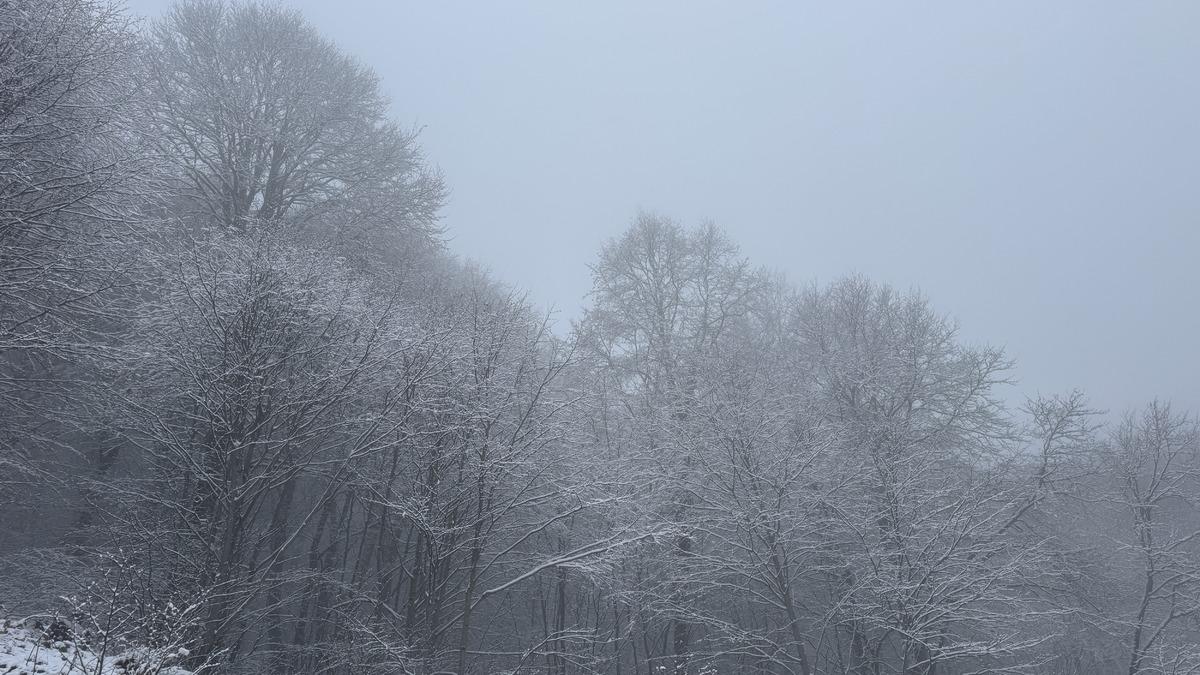 Tokat'ın yüksek kesimleri beyaza büründü